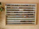 Display Case